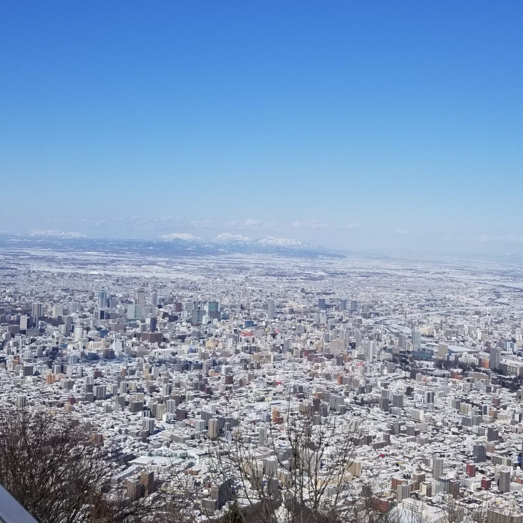 展望台からの景色