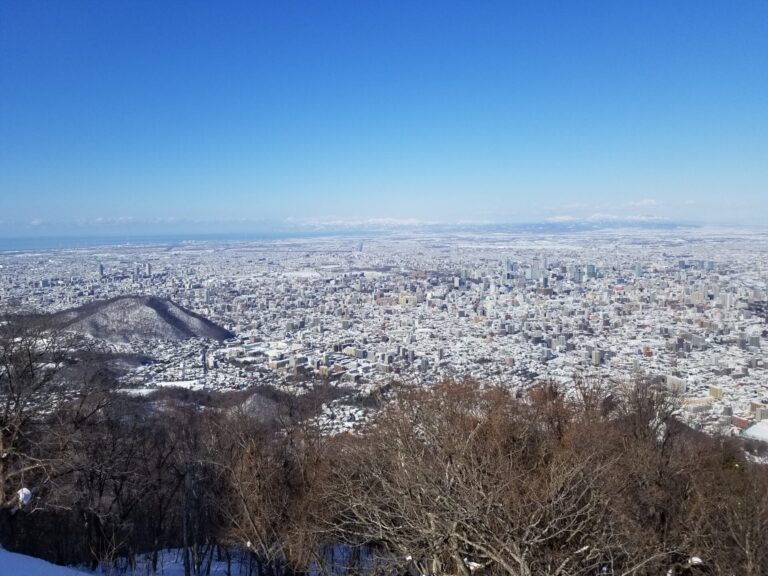 藻岩山からの風景